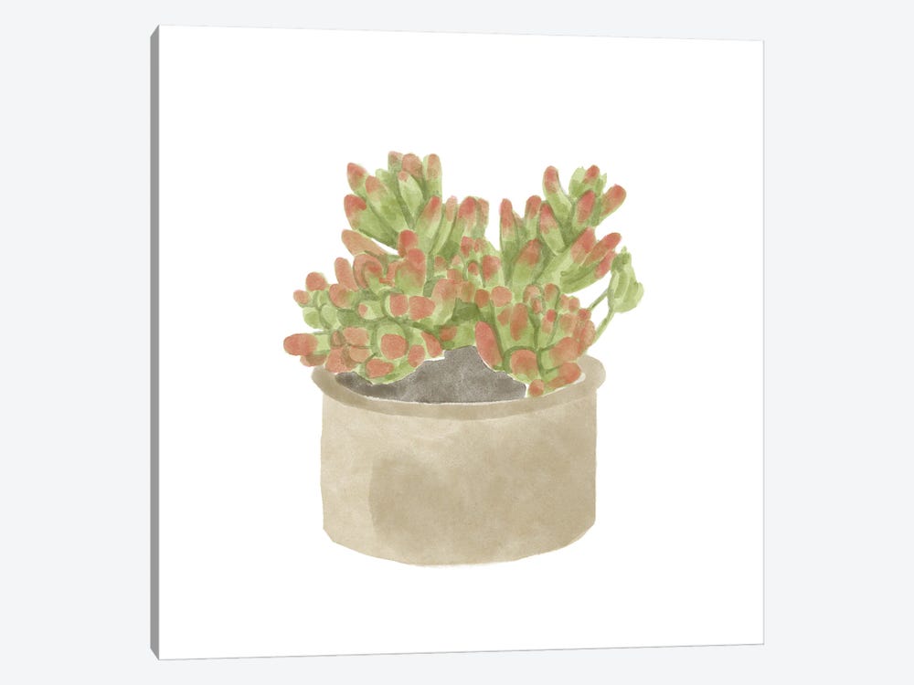 Simple Succulent I by Bannarot 1-piece Canvas Print