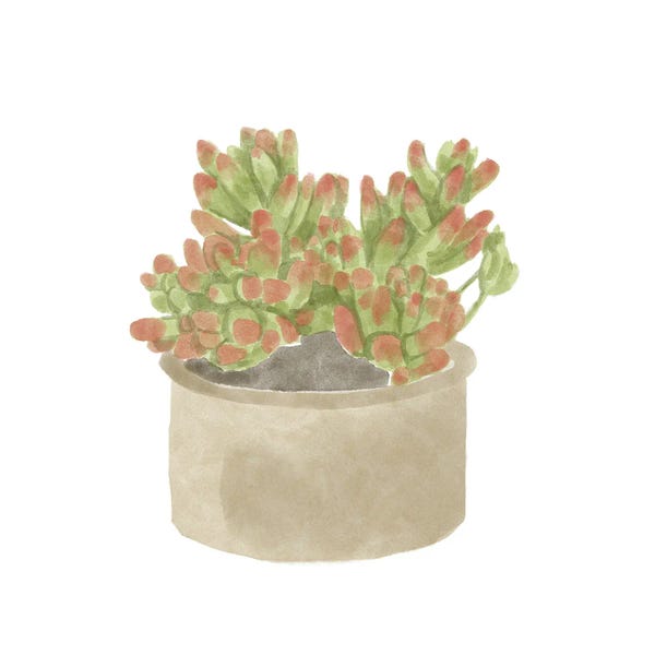 Bannarot: Simple Succulent I by Bannarot