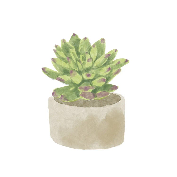 Simple Succulent III by Bannarot wall art