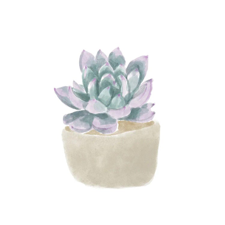 Simple Succulent IV by Bannarot wall art