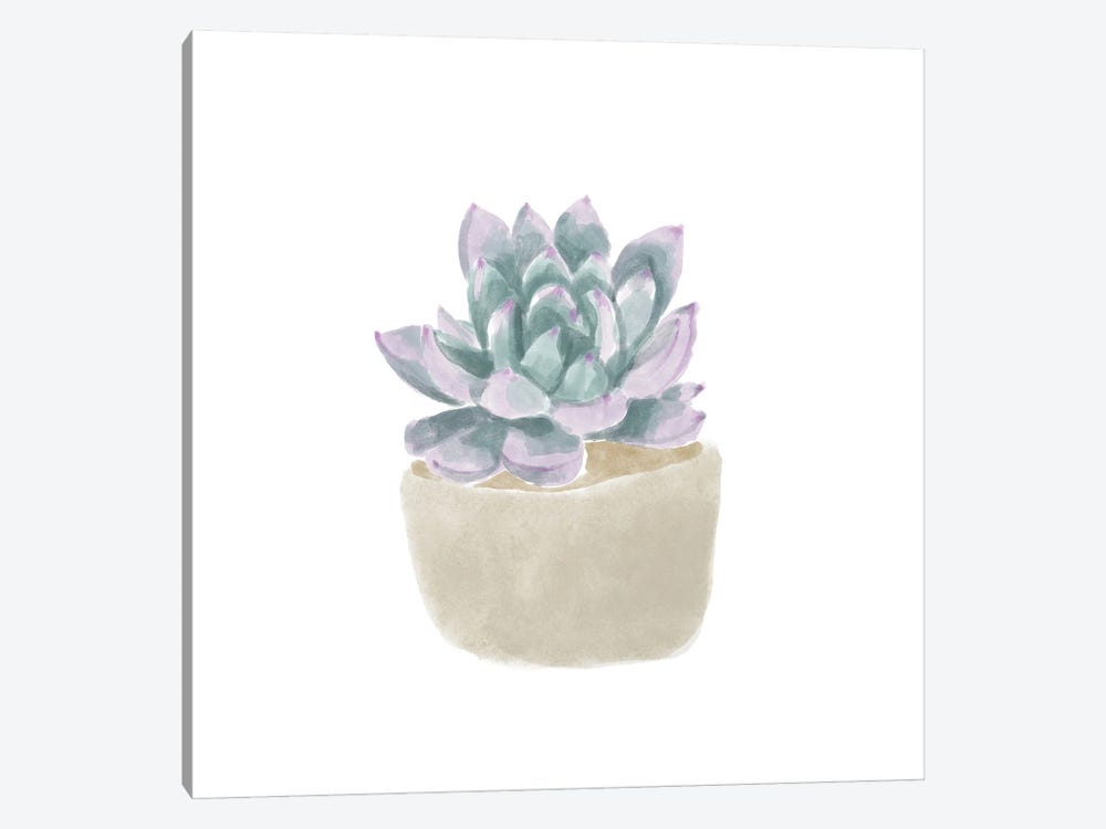 Simple Succulent IV by Bannarot 1-piece Canvas Wall Art