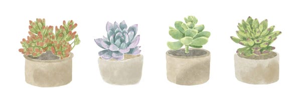 Simple Succulent Panel