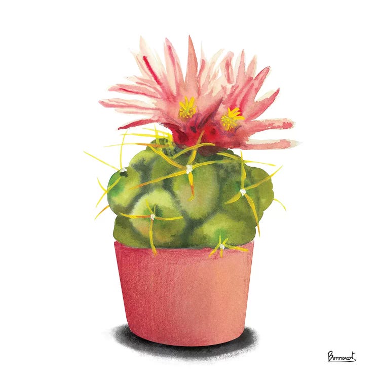 Cactus Flowers I by Bannarot wall art