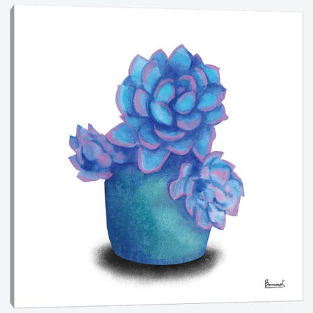 Turquoise Succulents I Canvas Print #BNR26} by Bannarot Canvas Art Print
