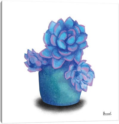 Turquoise Succulents I Canvas Art Print