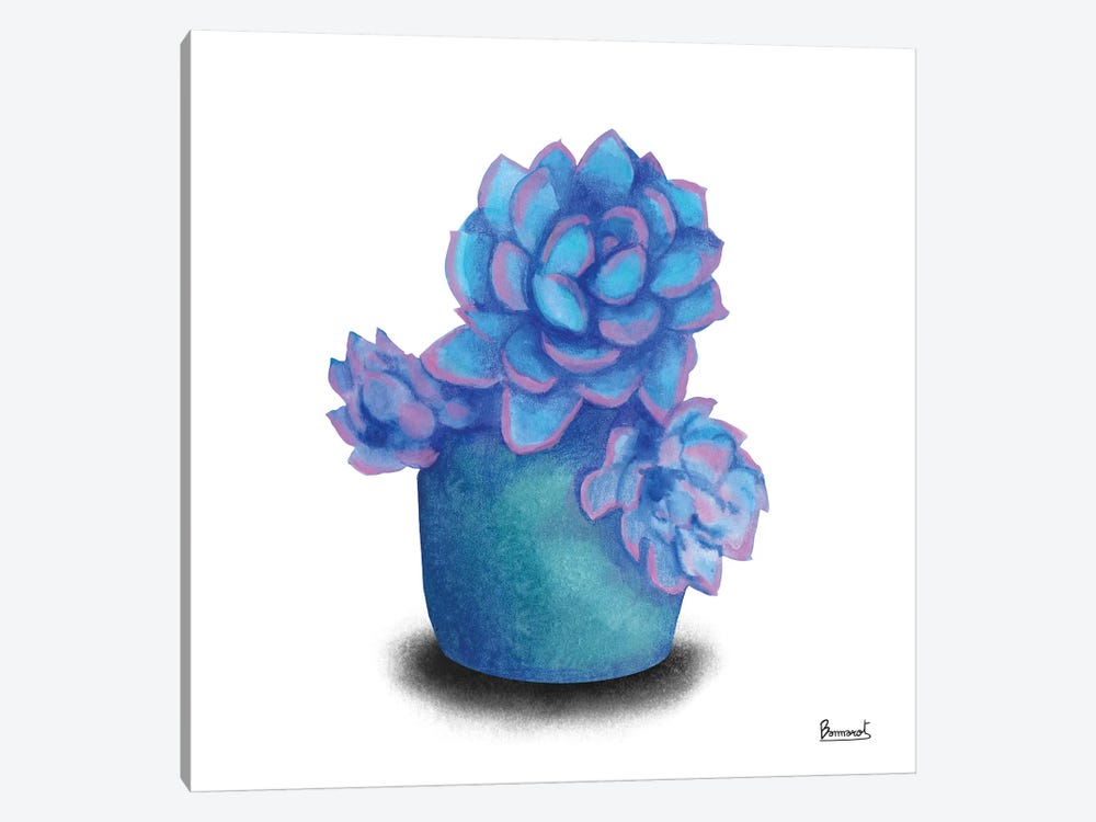 Turquoise Succulents I by Bannarot 1-piece Art Print