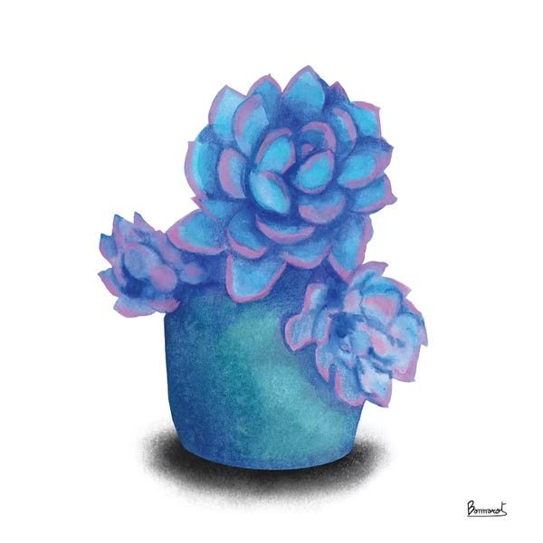 Bannarot: Turquoise Succulents I by Bannarot