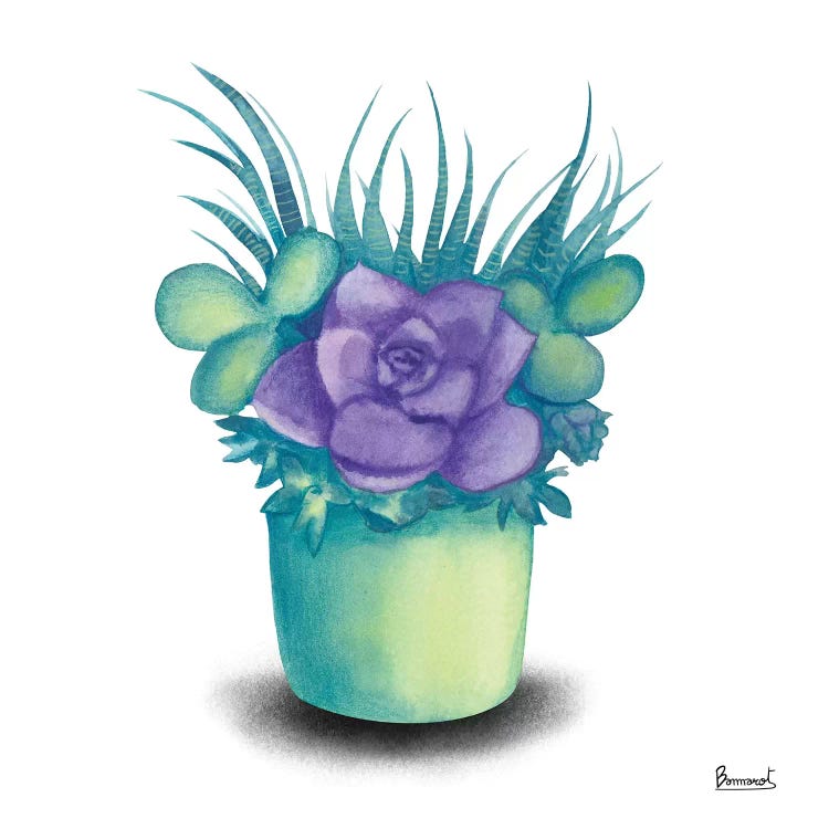 Turquoise Succulents III by Bannarot wall art