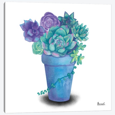 Turquoise Succulents IV Canvas Print #BNR29} by Bannarot Canvas Artwork