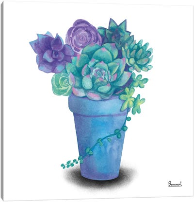 Turquoise Succulents IV Canvas Art Print