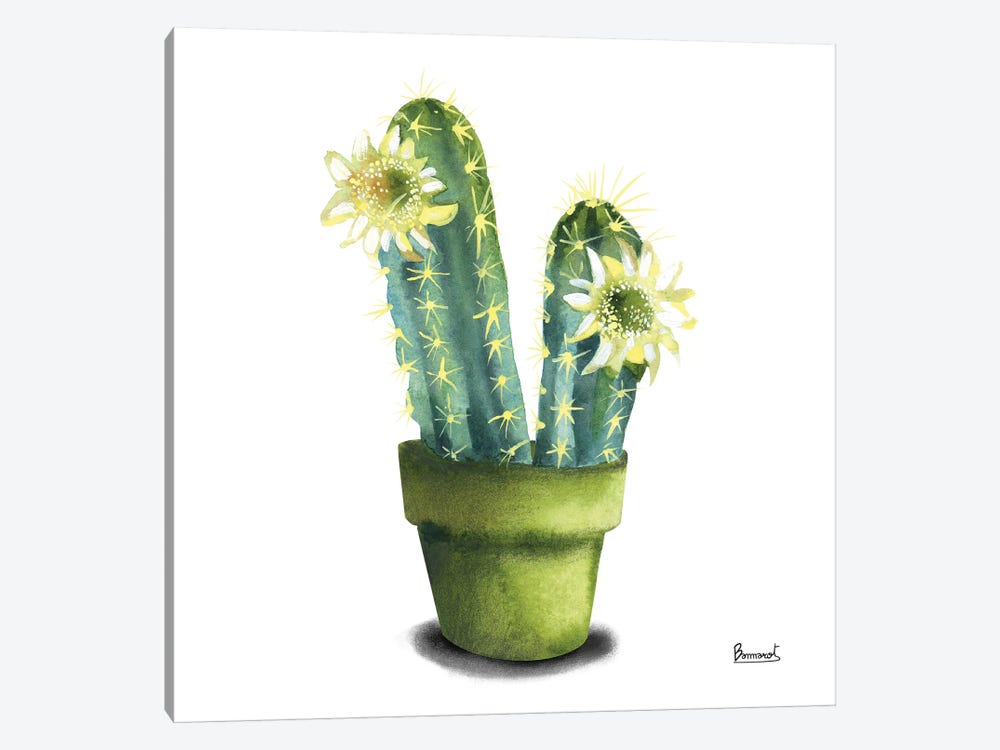 Cactus Flowers II by Bannarot 1-piece Canvas Art