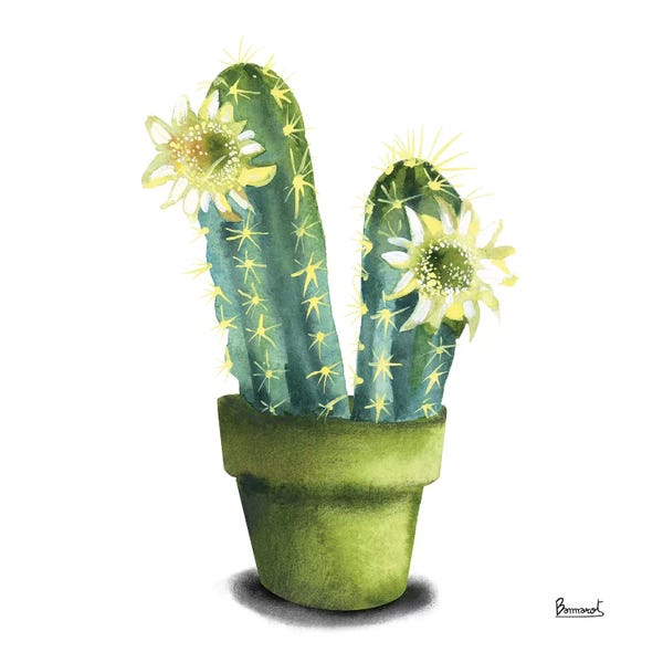 Bannarot: Cactus Flowers II by Bannarot