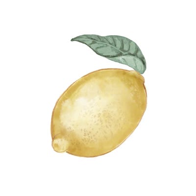 Citrus Limon I by Bannarot framed canvas print