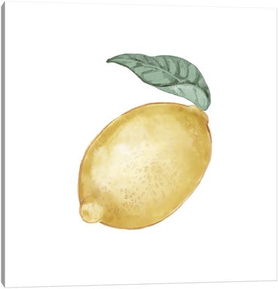 Citrus Limon I Canvas Art Print - Lemon & Lime Art