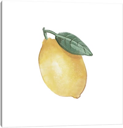 Citrus Limon II Canvas Art Print - Lemon & Lime Art