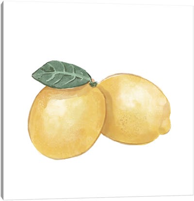 Citrus Limon III Canvas Art Print - Lemon & Lime Art