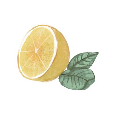 Citrus Limon IV by Bannarot canvas print