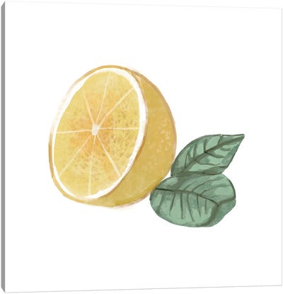 Citrus Limon IV Canvas Art Print - Lemon & Lime Art