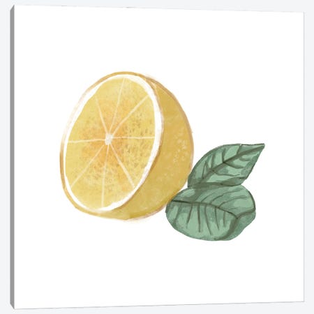 Citrus Limon IV Canvas Print #BNR38} by Bannarot Canvas Print
