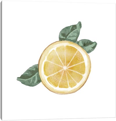 Citrus Limon V Canvas Art Print - Lemon & Lime Art