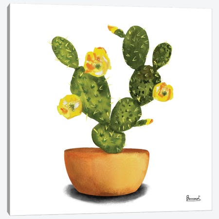 Cactus Flowers III Canvas Print #BNR3} by Bannarot Art Print