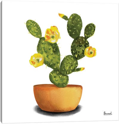 Cactus Flowers III Canvas Art Print