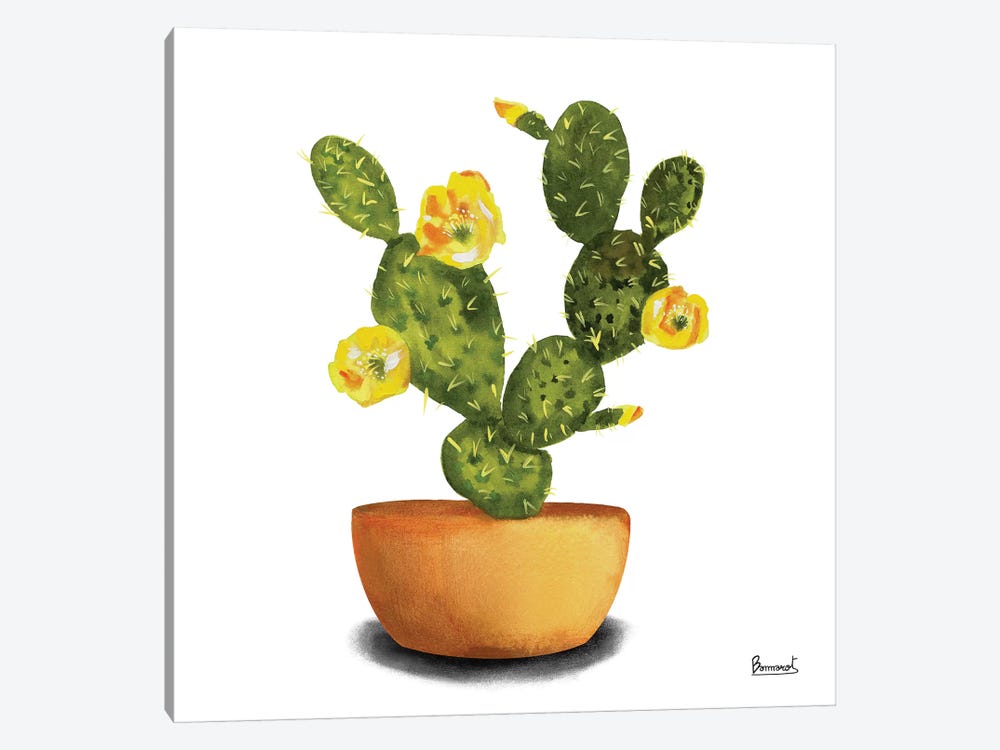 Cactus Flowers III by Bannarot 1-piece Canvas Print