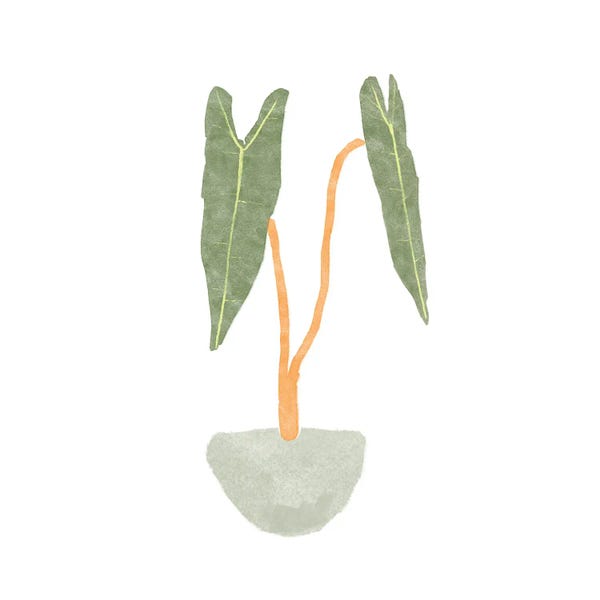 Bannarot: Philodendron Billietiae I by Bannarot