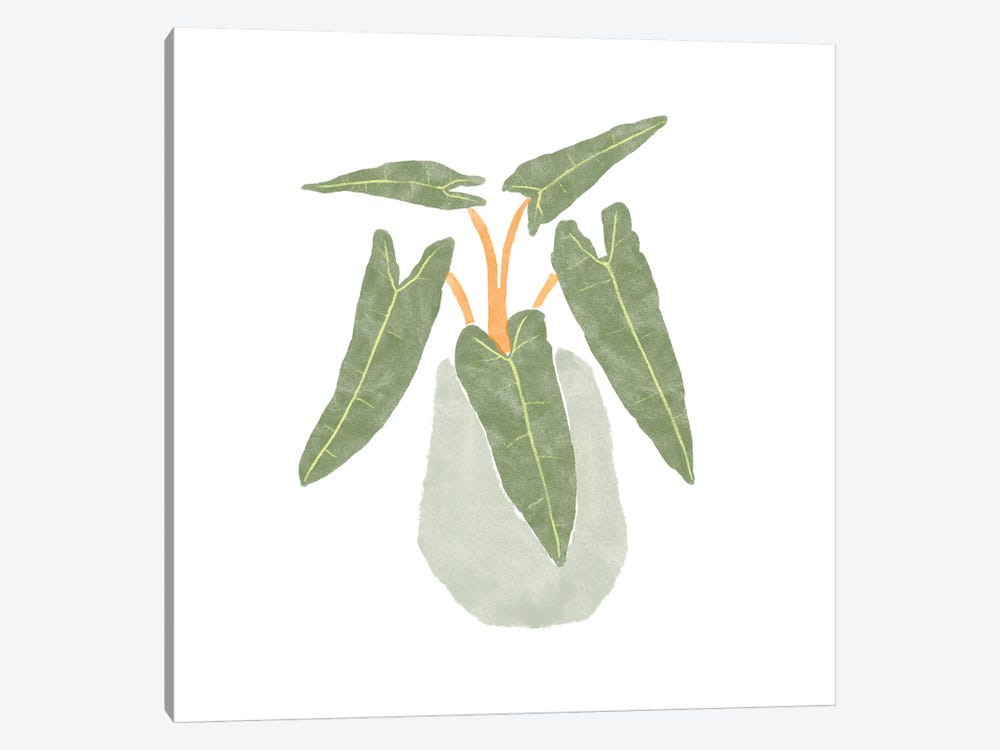 Philodendron Billietiae II by Bannarot 1-piece Canvas Artwork