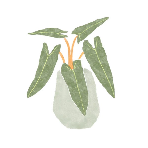 Bannarot: Philodendron Billietiae II by Bannarot