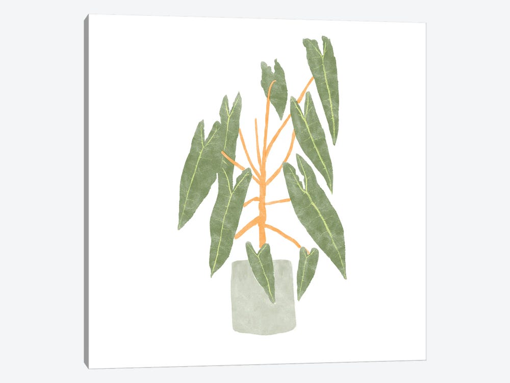 Philodendron Billietiae III by Bannarot 1-piece Art Print