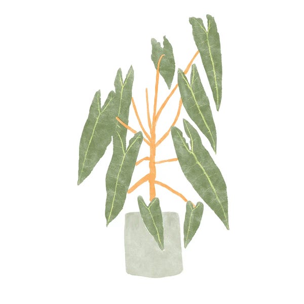 Bannarot: Philodendron Billietiae III by Bannarot