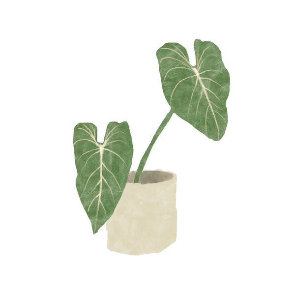 Bannarot: Philodendron Gloriosum I by Bannarot