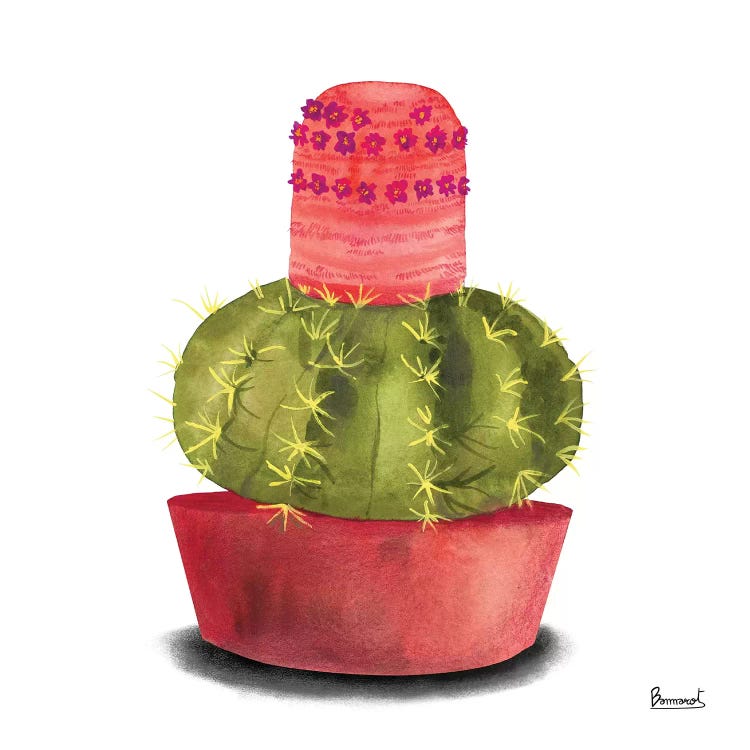 Cactus Flowers IV by Bannarot wall art