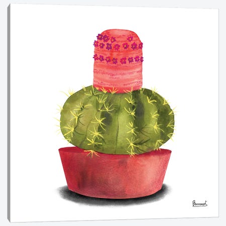 Cactus Flowers IV Canvas Print #BNR4} by Bannarot Canvas Artwork