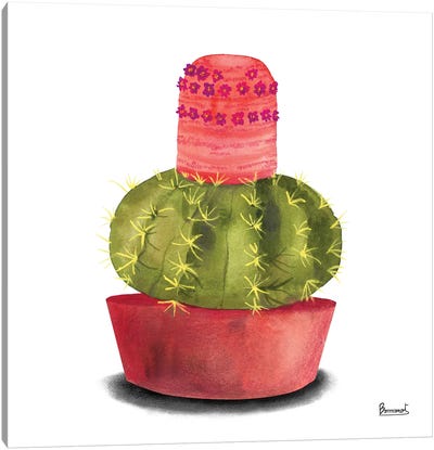 Cactus Flowers IV Canvas Art Print