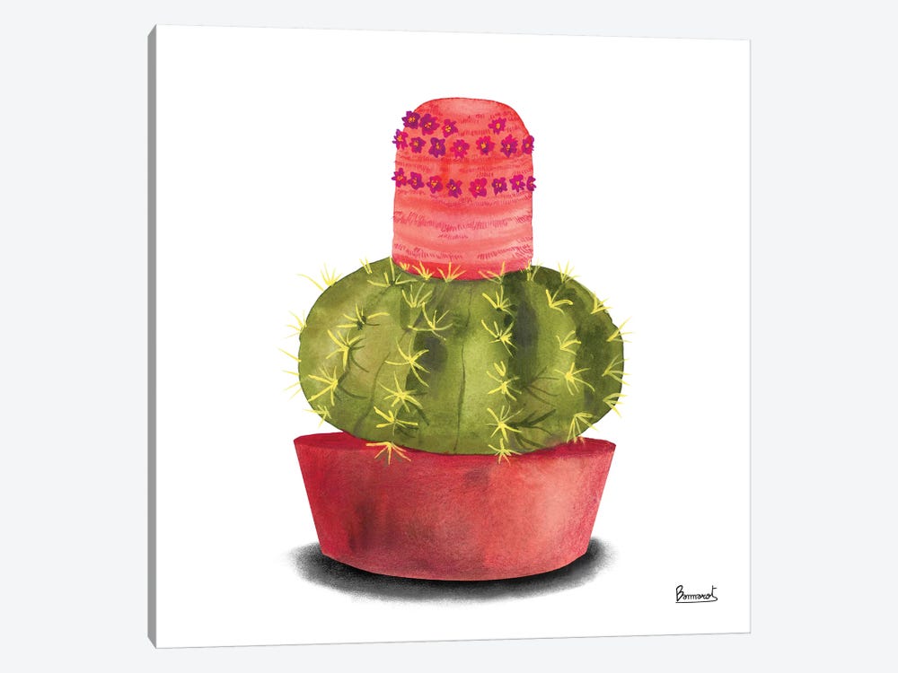 Cactus Flowers IV by Bannarot 1-piece Canvas Artwork