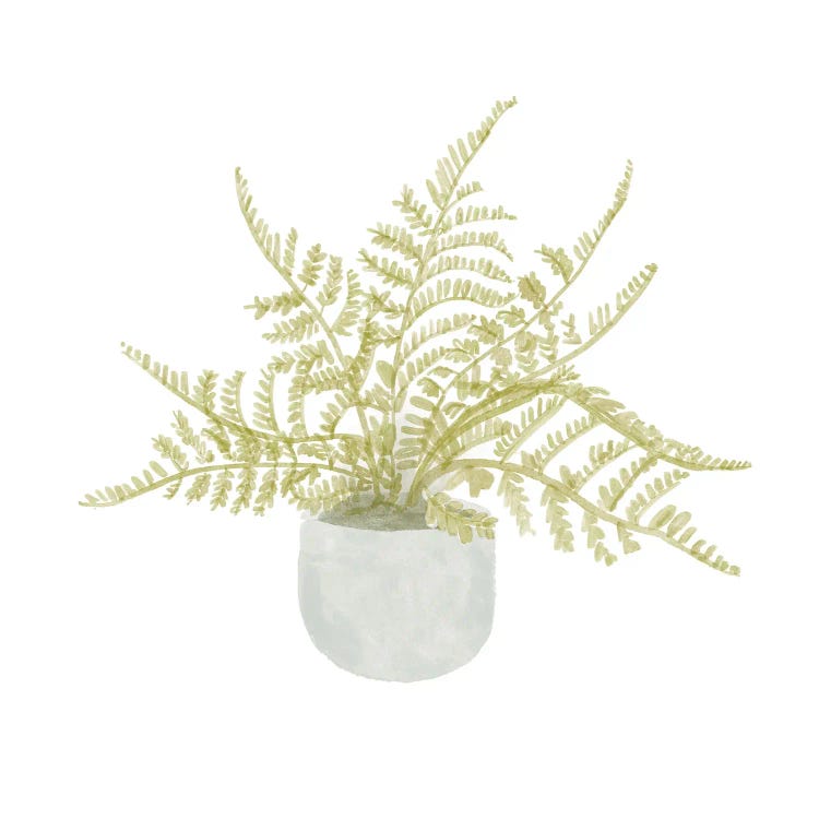 Potted Fern I