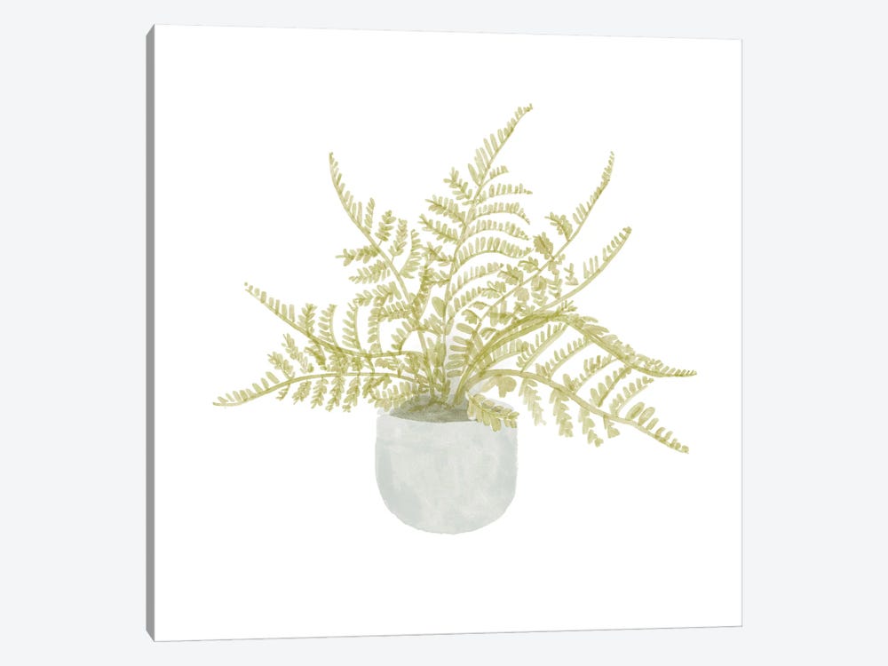 Potted Fern I by Bannarot 1-piece Canvas Art