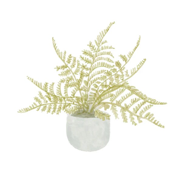 Ferns: Potted Fern I by Bannarot