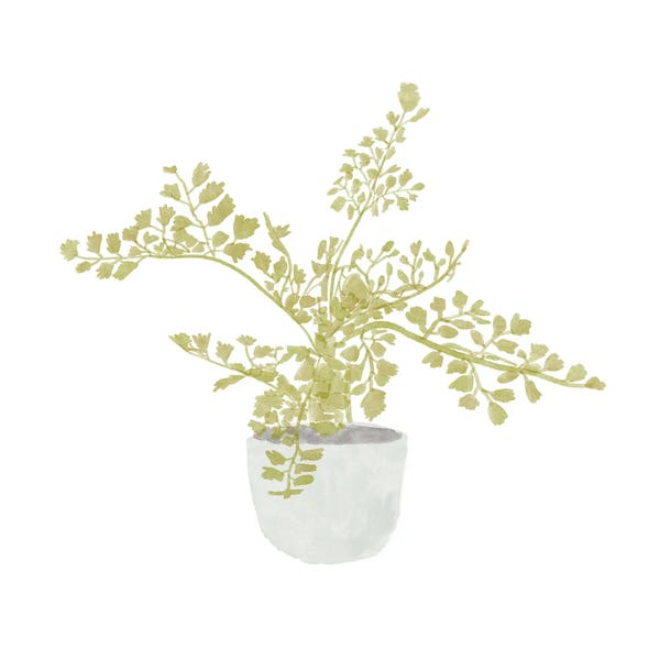 Ferns: Potted Fern III by Bannarot
