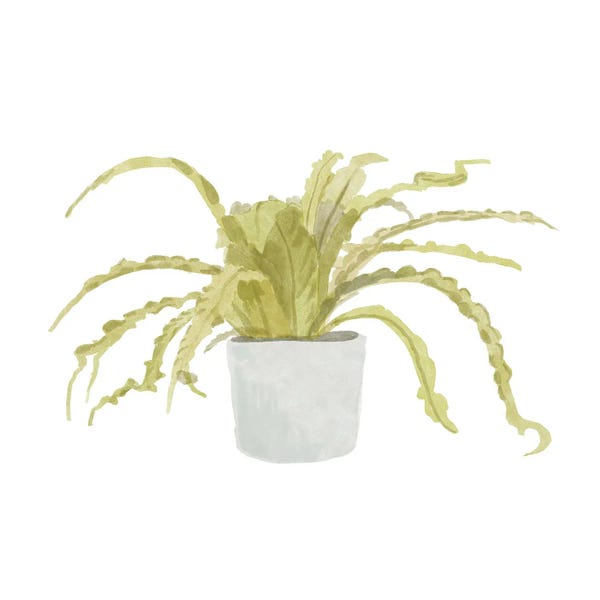 Ferns: Potted Fern IV by Bannarot