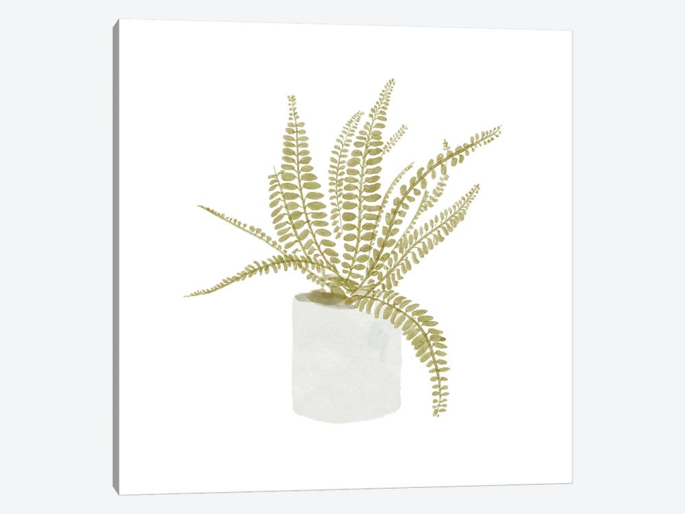 Potted Fern V by Bannarot 1-piece Canvas Artwork