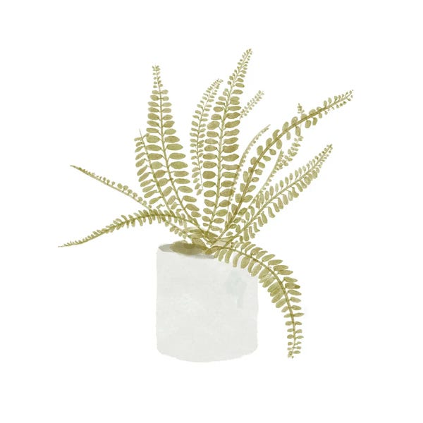 Ferns: Potted Fern V by Bannarot