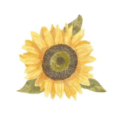 Single Sunflower I by Bannarot canvas print