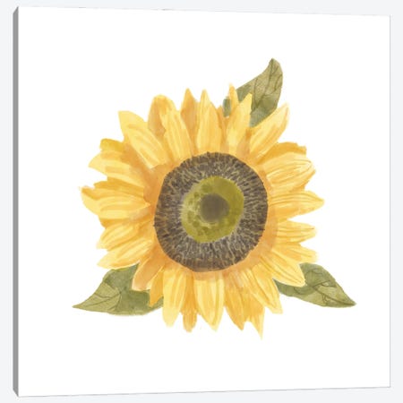 Single Sunflower I Canvas Print #BNR59} by Bannarot Canvas Art Print