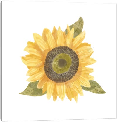 Single Sunflower I Canvas Art Print