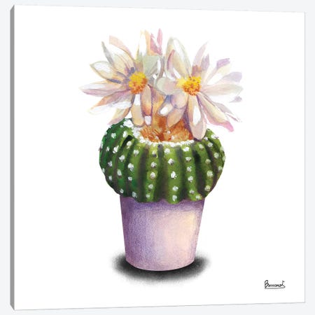 Cactus Flowers IX Canvas Print #BNR5} by Bannarot Canvas Artwork