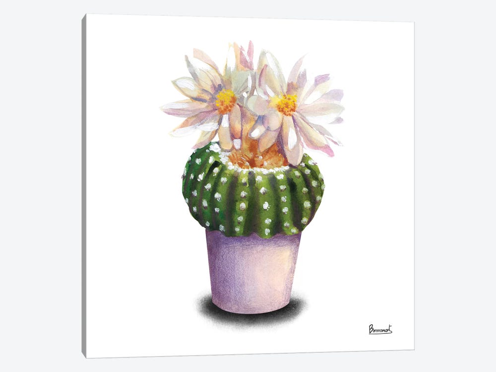 Cactus Flowers IX by Bannarot 1-piece Art Print
