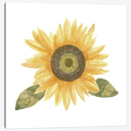Single Sunflower II Canvas Print #BNR60} by Bannarot Canvas Artwork